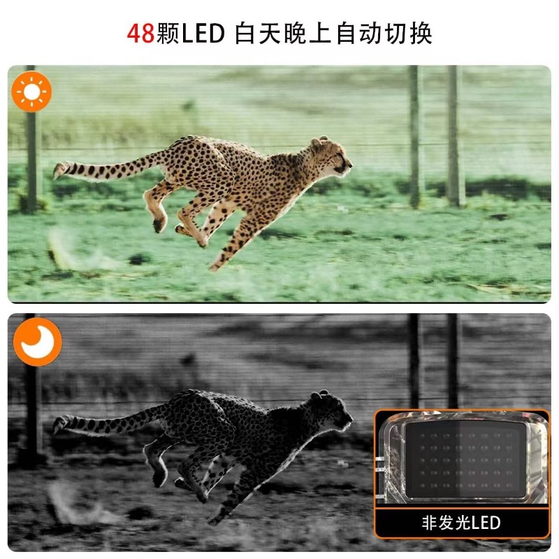 HOT SALE DL001 Hunting Camera  - Home Cinema Hd ulasan dan harga