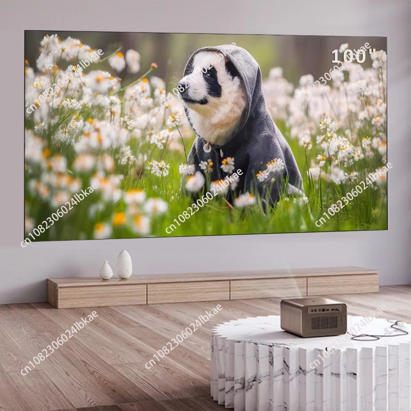 100inch fixed frame 16:9 proje - Projector Screen 100 Inch ulasan dan harga