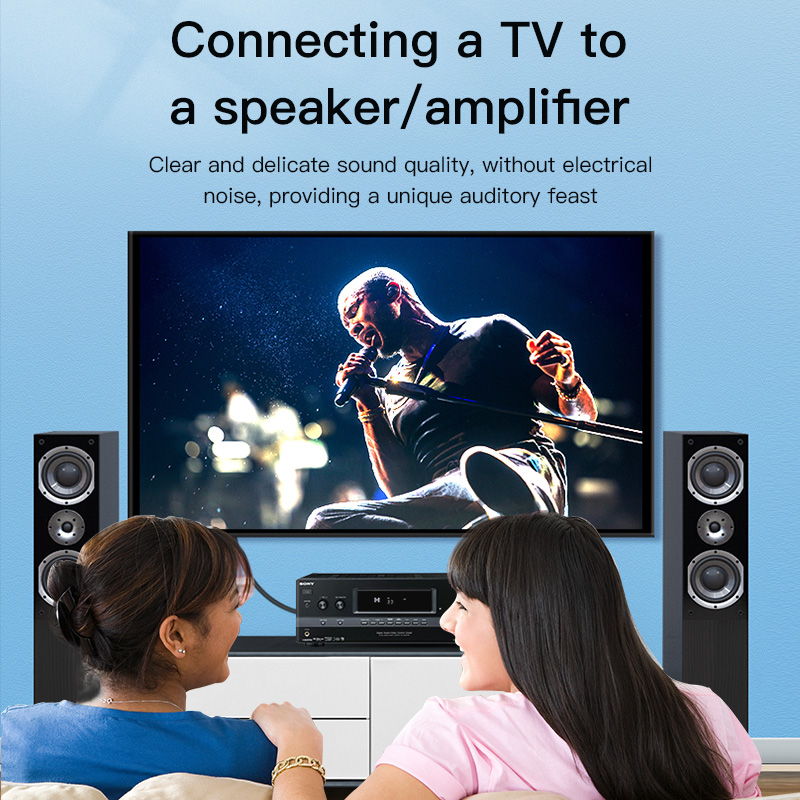 CHOSEAL RCA Cable Digital Coax - Home Cinema Amplifier ulasan dan harga